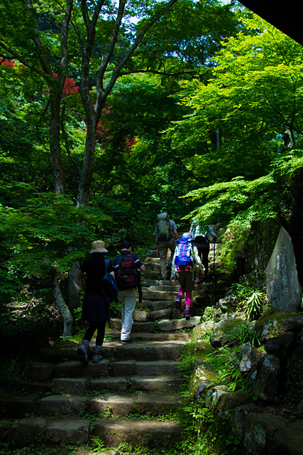 大山登山口周辺。