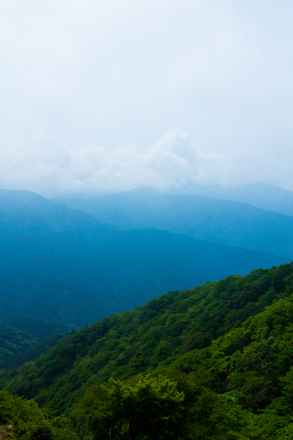 山頂付近から見た景色。