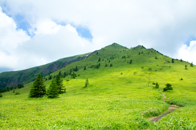 四阿山・根子岳縦走01